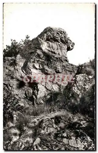 Cartes postales La Suisse Normande Environs de Pont d&#39Ouilly Le Rocher Du Lion