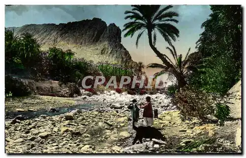 Cartes postales Collection Artistique Un Joli Coin De l&#39Oued Et De L&#39Oasis Algerie