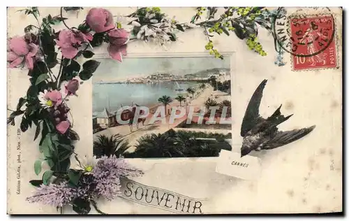 Cartes postales Cannes Souvenir Oiseau