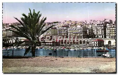 Cartes postales Alger Vu De l&#39Amiraute Algerie