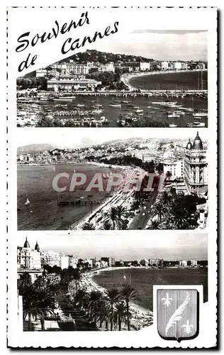 Cartes postales Souvenir De Cannes