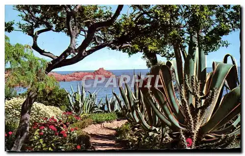 Cartes postales La Cote d&#39Azur Harmonie De Couleur Et De Iumiere