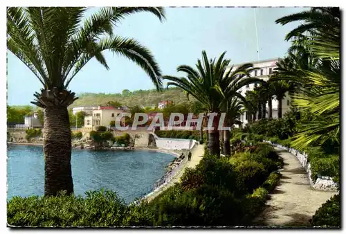 Ansichtskarte AK La Cote d&#39Azur Beaulieu Sur Mer Le Jardin Exotique La Bie Des Fourmis Et les Grands Hotels