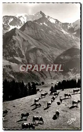 Cartes postales Paysages Alpestres Paturage