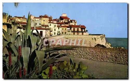 Cartes postales Les Sites Merveilleux de la Cote D&#39Azur of Antibes La Promande sur les Remparts