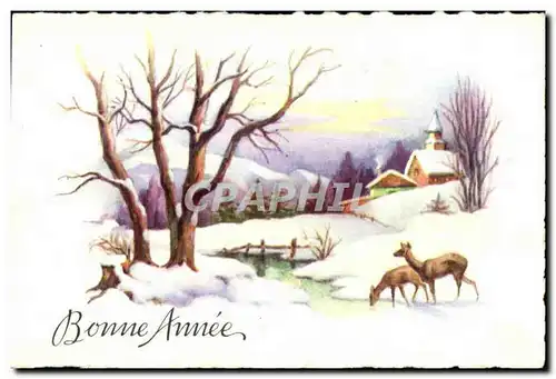 Cartes postales Fantaisie Bonne annee