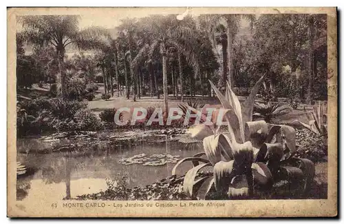 Cartes postales Monte Carlo Los Jardins Du Casino La Petite Afrique