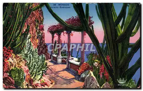 Cartes postales Monaco Jardins Exotiques