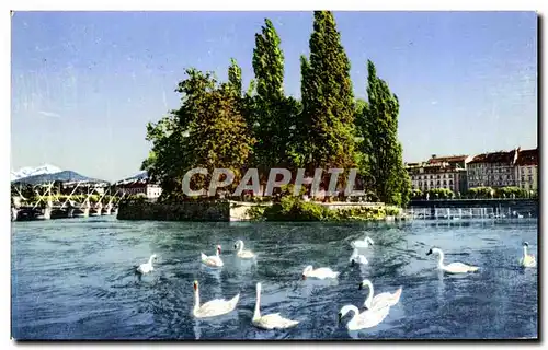 Ansichtskarte AK Geneve Rousseau Et Le Mont Blanc Cygne