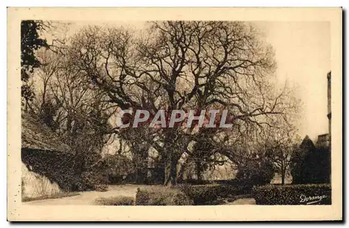 Ansichtskarte AK Loches Le Chateau Royat Marronnier plante par Francois 1er