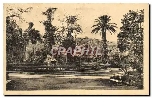 Cartes postales Blida Le jardin Bizot Algerie