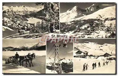 Cartes postales St Moritz Traineau Cheval Horse Ski