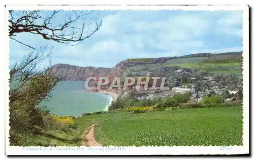 Ansichtskarte AK Sidmouth From Satcombe Hill showing Peak Hill