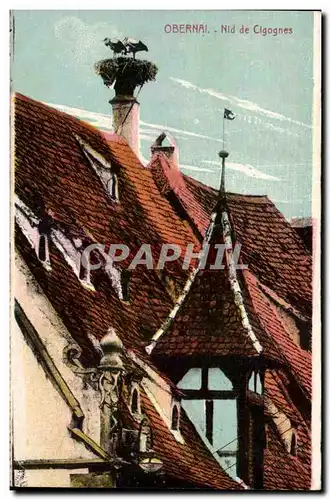 Cartes postales Obernai Nid de Cigognes