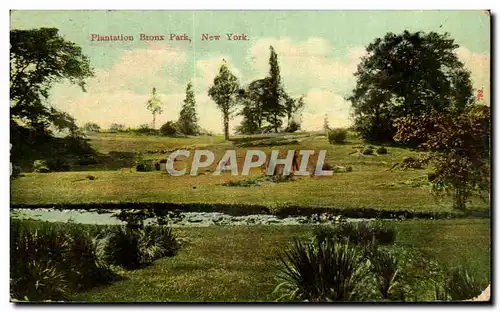 Cartes postales Plantation Bronx Park New York