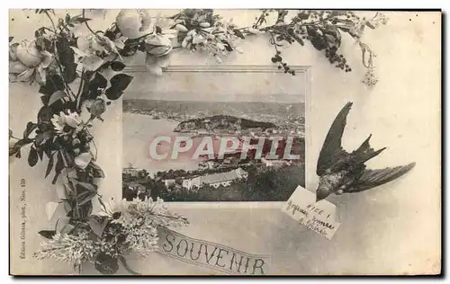 Cartes postales Souvenir Nice Oiseau