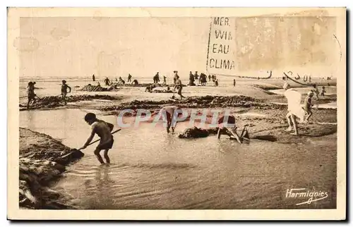 Cartes postales Scene de Plage