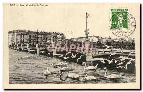 Cartes postales Les mouettes a geneve Cygne