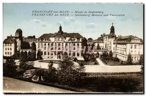 Ansichtskarte AK Francfort sur Mein musee de senkenberg Frankfurt am mein senkenberg museum und universiat