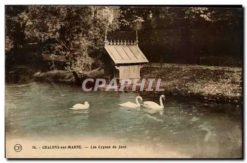 Cartes postales Chalons sur Marne Les Cygnes du Jard