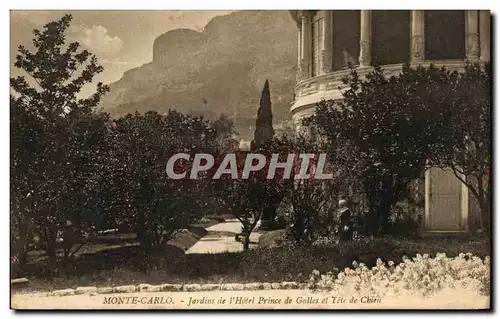 Ansichtskarte AK Monte Carlo Jardins de L&#39Hotel Prince de Galles et Tete de Marseille Le Vieux Port et quarlie