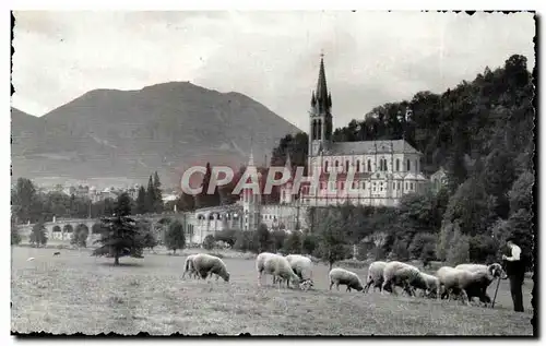 Ansichtskarte AK Lourdes La basilique Vue de La Prairie de la Grotte The Basilican seen from the Meadow of the Gr