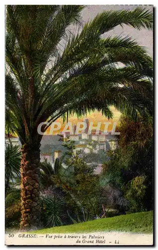 Cartes postales Grasse Vue prise a travers les Palmiers du Grama Hotel