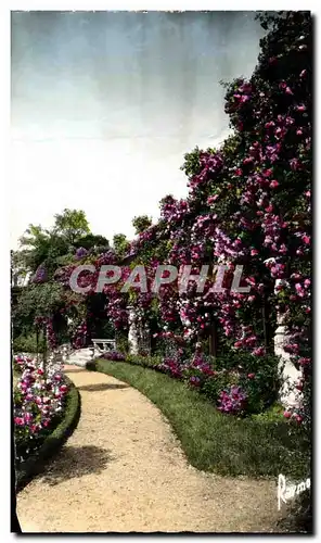 Cartes postales Roseraire De L&#39hay Les Roses Les Arcades