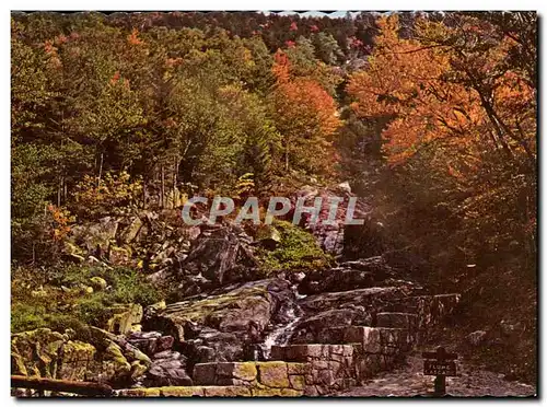 Ansichtskarte AK Flume Cascade Crawford Notch