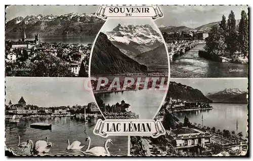 Cartes postales Souvenir Su Lac Leman Cygne