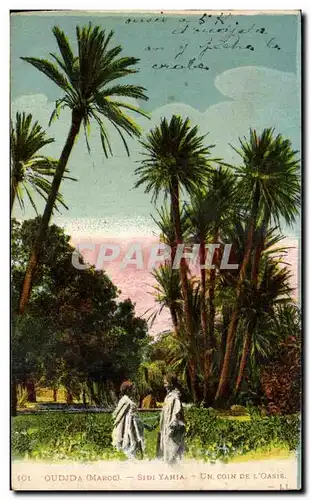 Cartes postales Oudjda Maroc Sidi Yahia Un Coin De L&#39Oasis