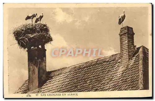 Cartes postales Les Cigognes en Alsace