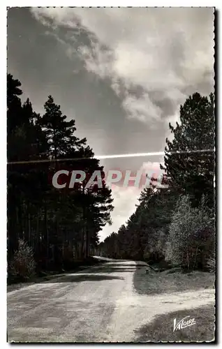 Cartes postales Les Merveilles Du Val De Loire Paysages De Sologne Route Forestier