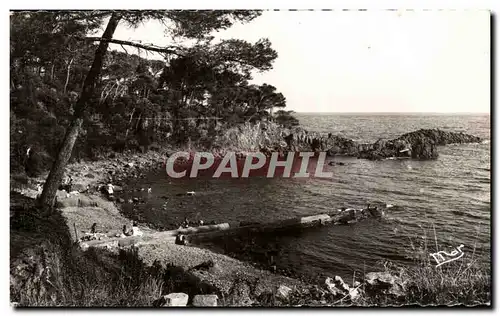 Cartes postales La cote D'Azur St Raphael Parc Santa Lucla