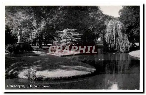 Cartes postales Driebergen De Wildbaan
