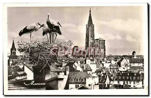 Cartes postales Str Strasbourg Vue Generale et le Nid de Cigognes