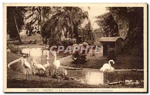 Cartes postales Vichy Le Dassin Des Cygnes Et Les Flamants