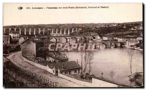 Cartes postales Limeses Panorama des trols Ponts St Martial National et Viaduc