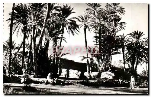 Cartes postales Scenes Typs Entree de I 'Oasis