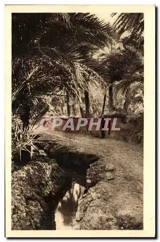 Cartes postales Dans le vleux Biskra Algerie