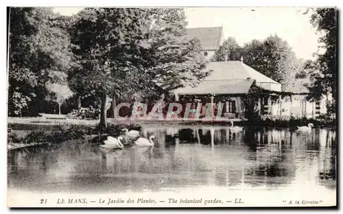 Cartes postales Le mans le jardin des plantes Cygne