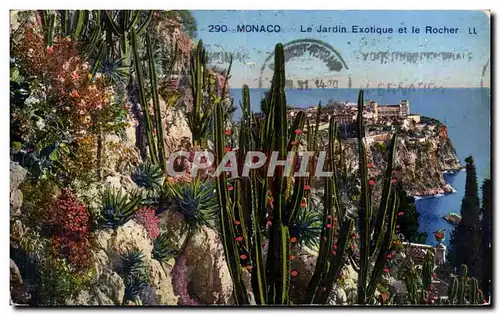 Cartes postales Monaco le jardin exotique et le rocher Cactus