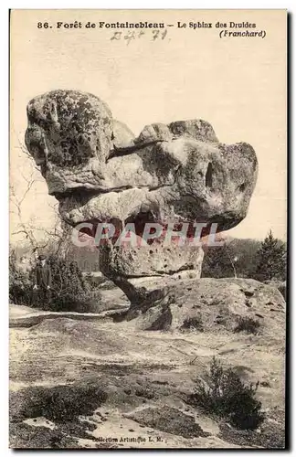 Cartes postales Foret de foutainebleau le sphinx des druides