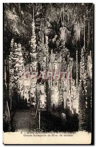 Cartes postales L'aven Armand dans foret vierge grande stalagmite