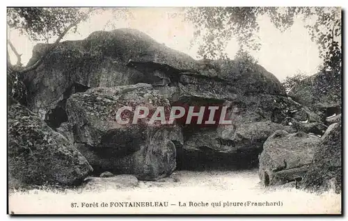 Ansichtskarte AK Foret de Fontainebleau La Roche qui pleure