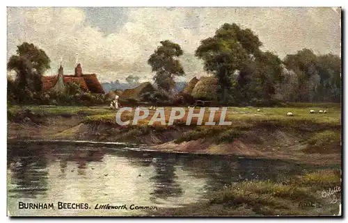 Cartes postales Fantaisie Burnham Beeches Littleworth common