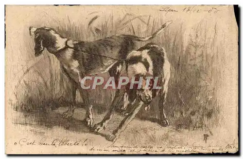 Ansichtskarte AK Chiens de chasse Hunting