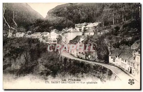 Cartes postales Saint Sauveur Vue Generale