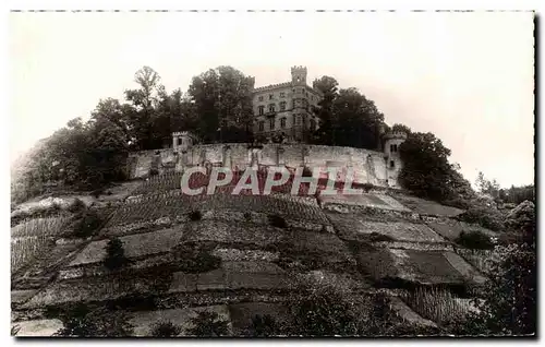 Cartes postales Ortenberg Le chateau