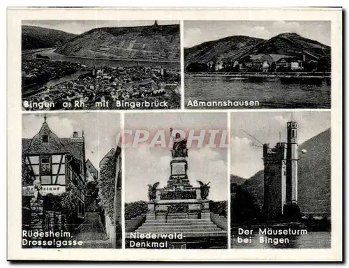 Cartes postales moderne Rudesheim Assmannshausen